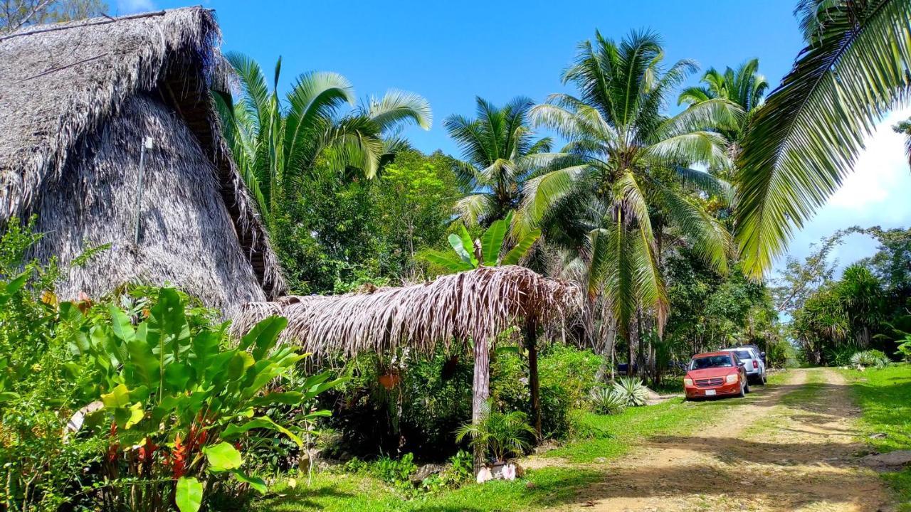 بونتا غوردا Sun Creek Lodge المظهر الخارجي الصورة