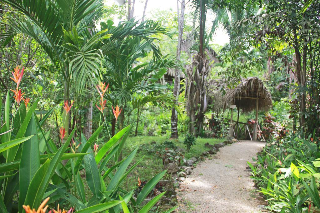 بونتا غوردا Sun Creek Lodge المظهر الخارجي الصورة