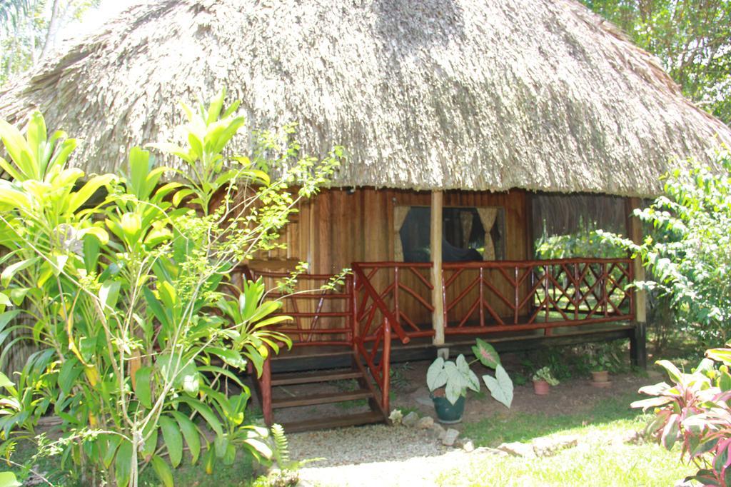 بونتا غوردا Sun Creek Lodge المظهر الخارجي الصورة