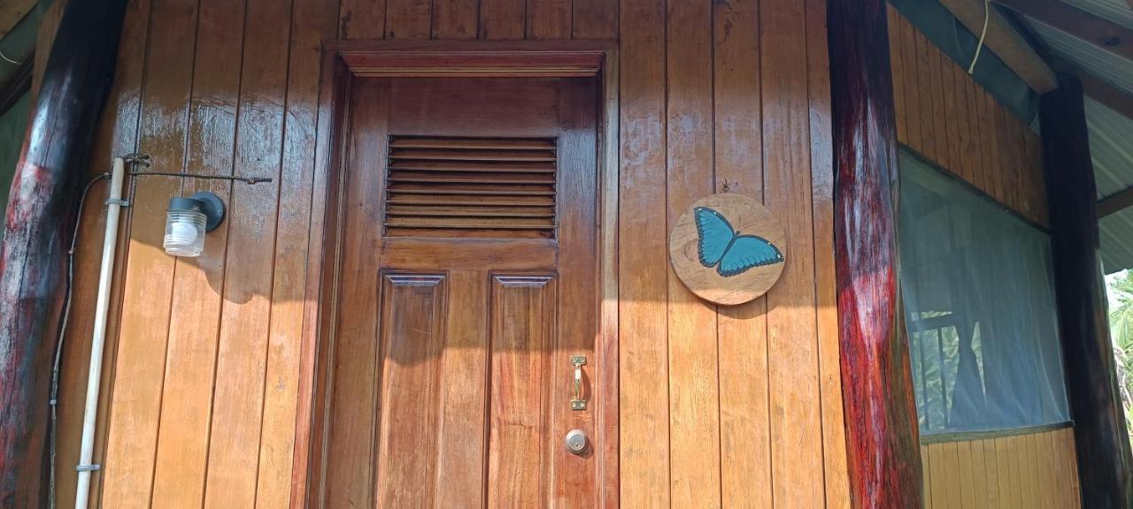 بونتا غوردا Sun Creek Lodge المظهر الخارجي الصورة