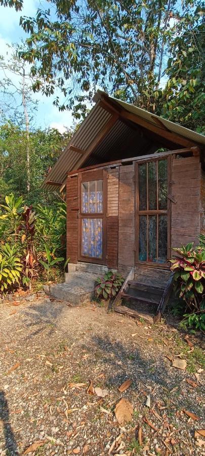 بونتا غوردا Sun Creek Lodge المظهر الخارجي الصورة
