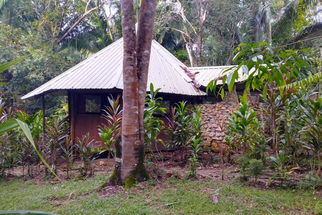 بونتا غوردا Sun Creek Lodge المظهر الخارجي الصورة