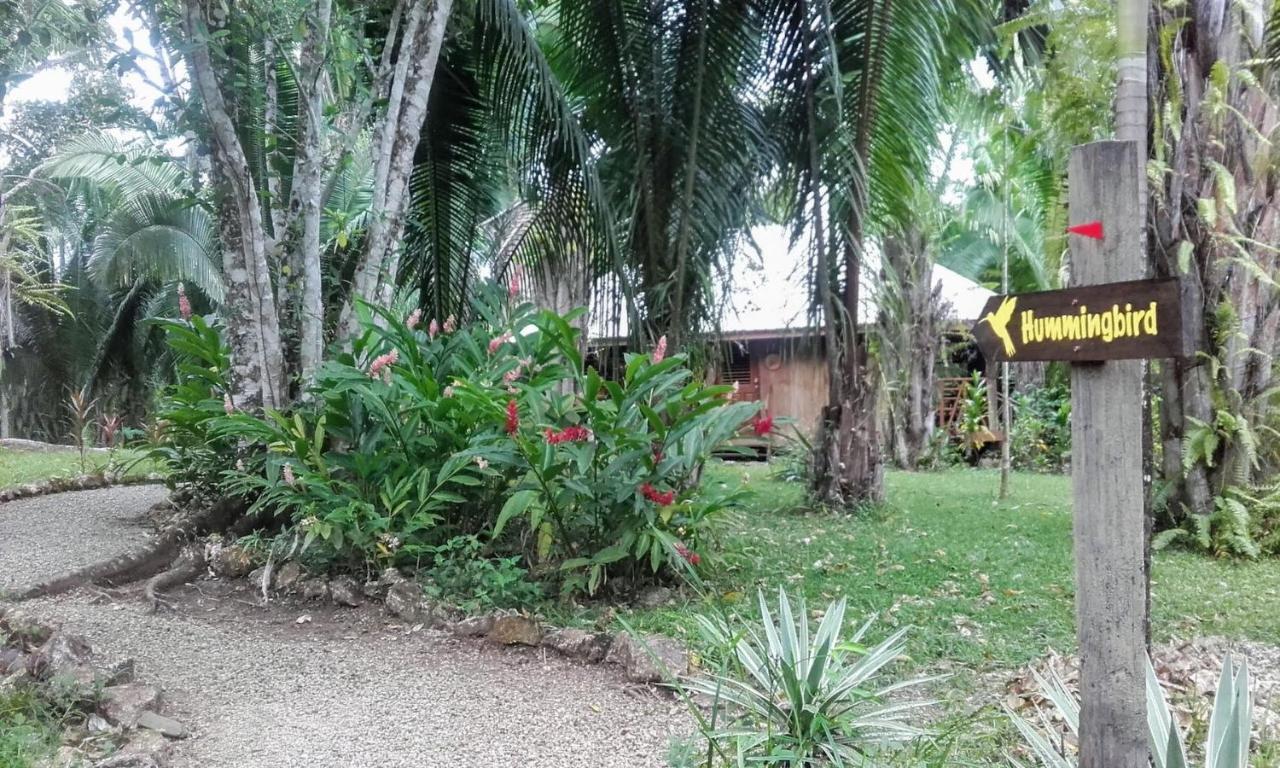 بونتا غوردا Sun Creek Lodge المظهر الخارجي الصورة