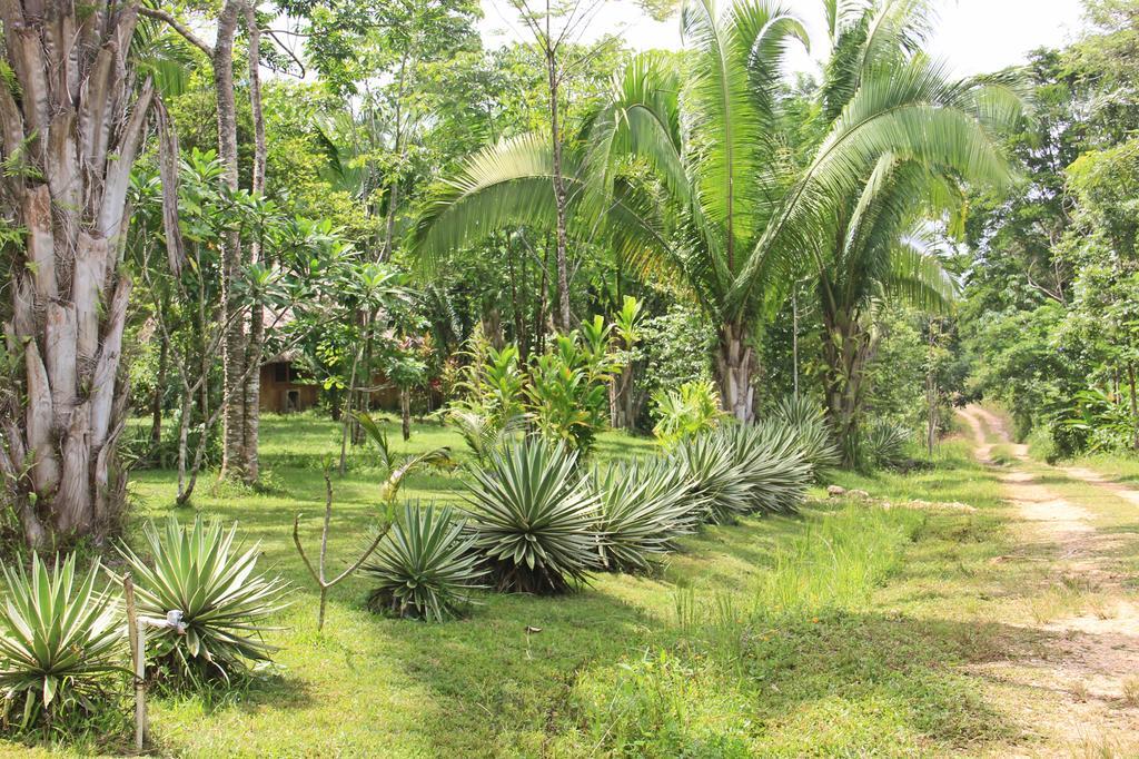 بونتا غوردا Sun Creek Lodge المظهر الخارجي الصورة