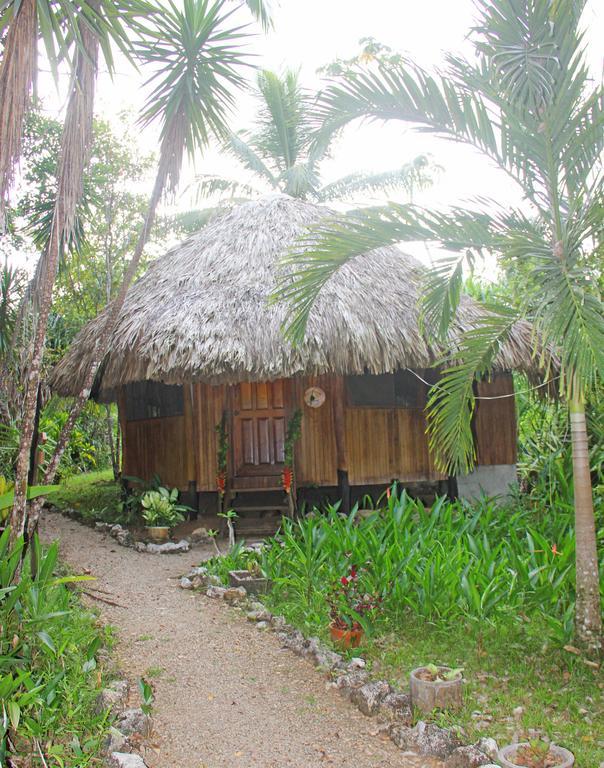 بونتا غوردا Sun Creek Lodge المظهر الخارجي الصورة