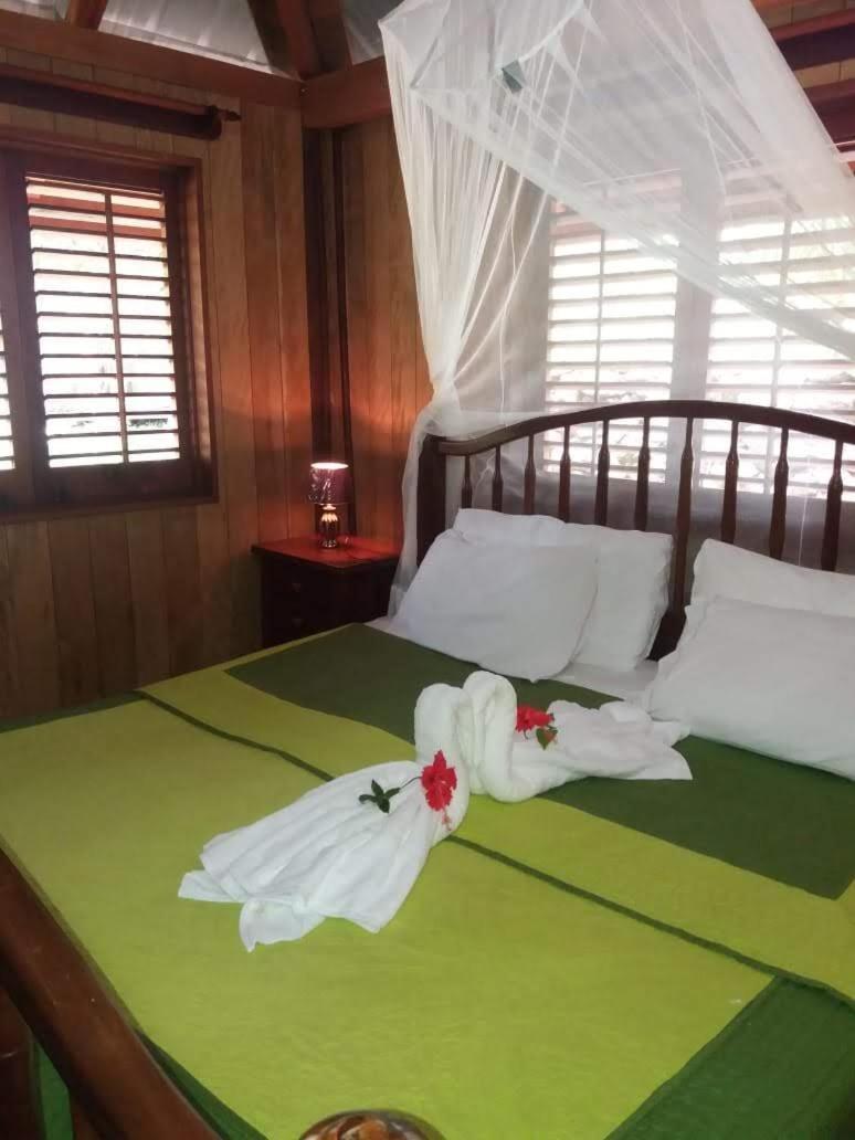 بونتا غوردا Sun Creek Lodge المظهر الخارجي الصورة