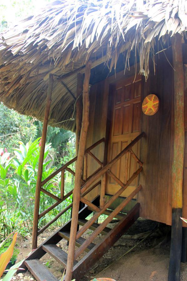 بونتا غوردا Sun Creek Lodge المظهر الخارجي الصورة