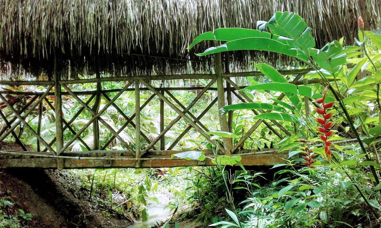 بونتا غوردا Sun Creek Lodge المظهر الخارجي الصورة