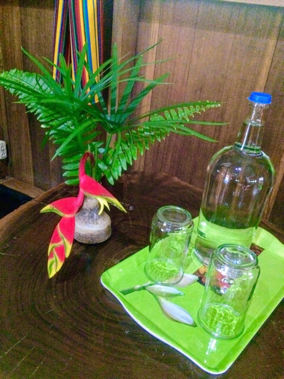 بونتا غوردا Sun Creek Lodge المظهر الخارجي الصورة